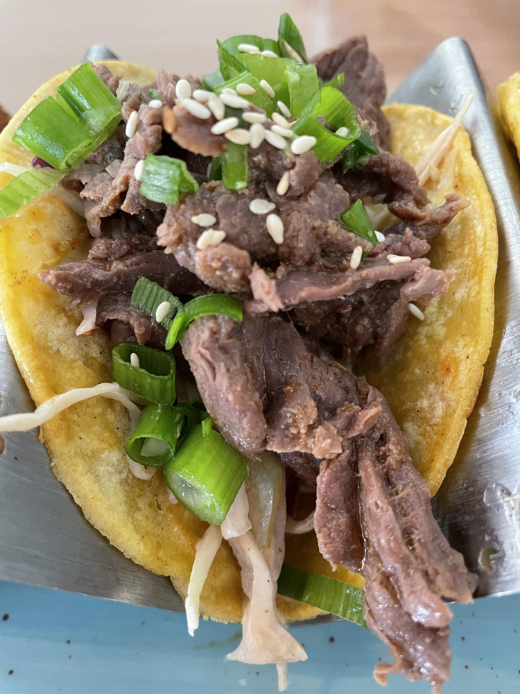 Bulgogi Taco