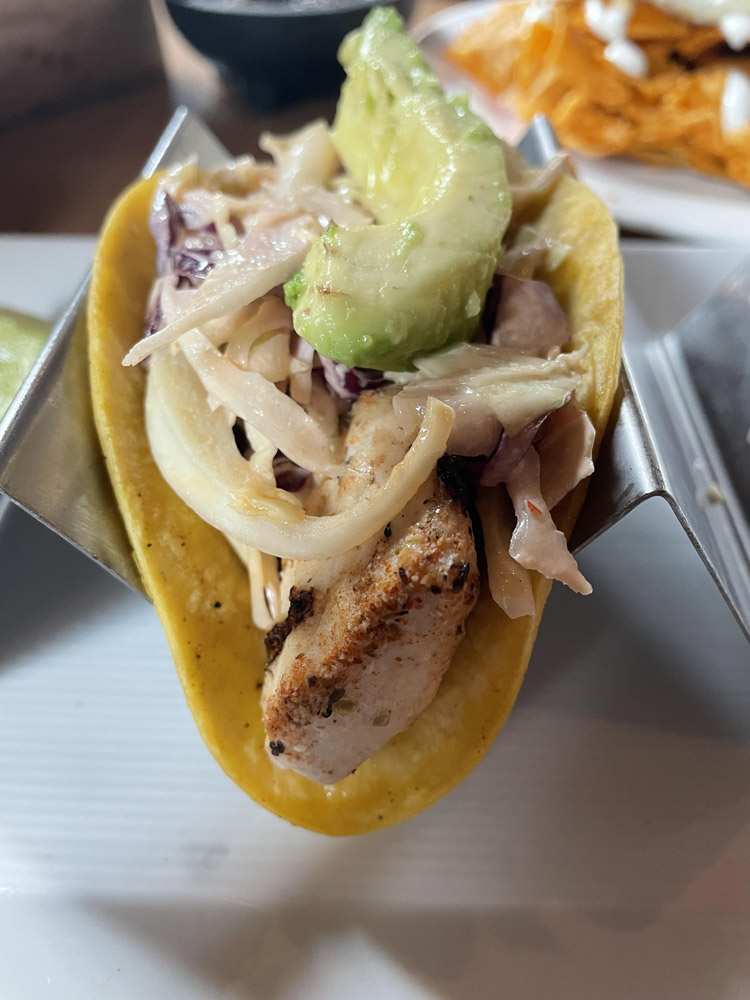 Mahi Mahi Taco